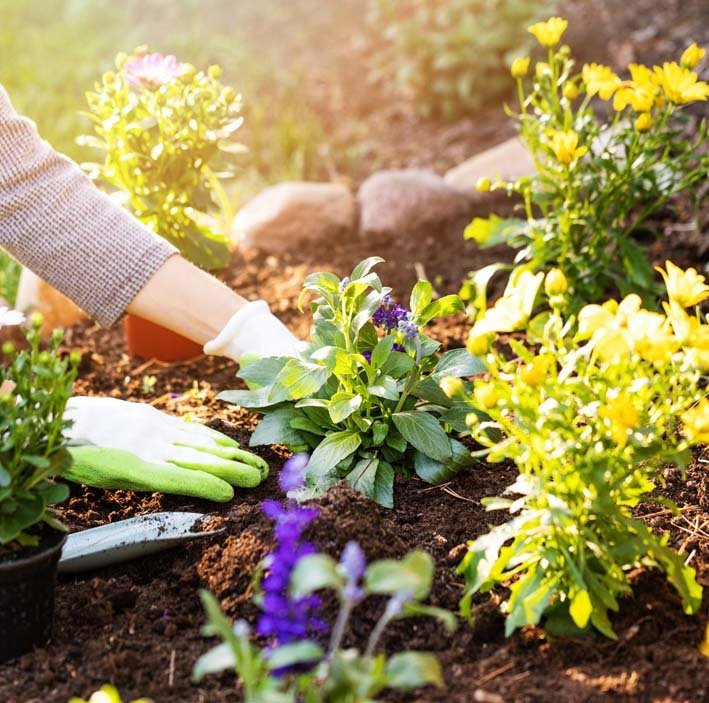 Gardening