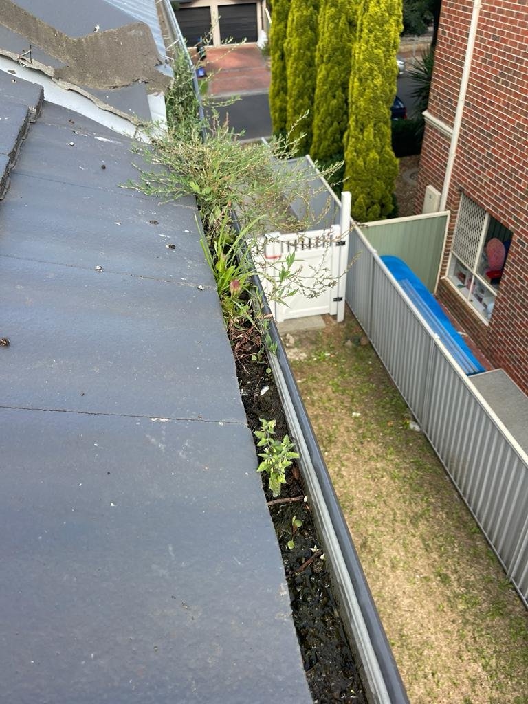 Gutter cleaning — before