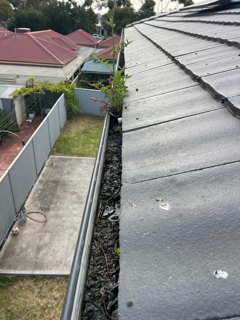 Roof gutter debris — before