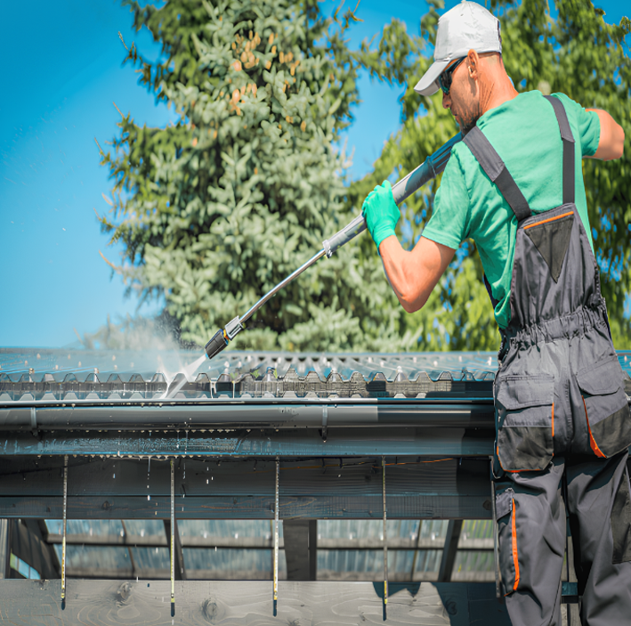 Gutter Cleaning